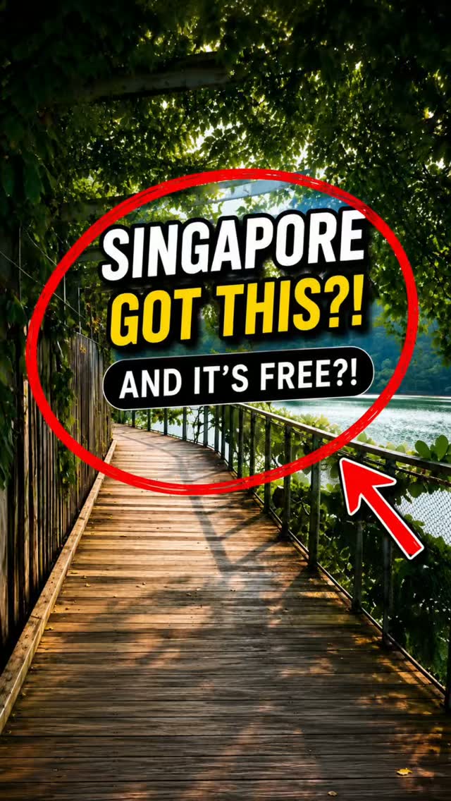 Leo, Singapore Zoo