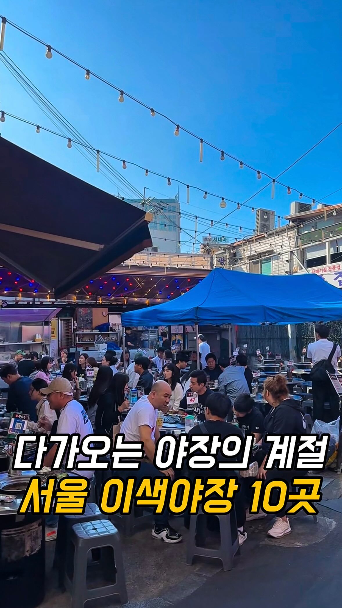 𝕊𝕠𝕃 𝕞𝕒𝕘𝕒𝕫𝕚𝕟𝕖 / 맛집,노포,카페,디저트,숙소,이색명소, Tapgol Park
