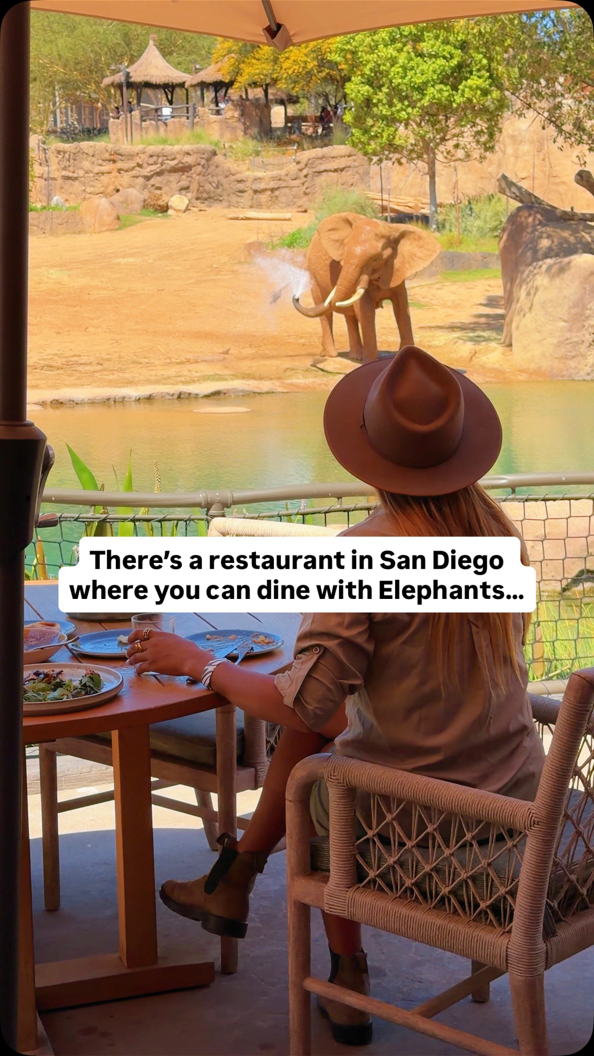 Nick Kokenos & Erica Battle | Adventure Travel, San Diego Zoo