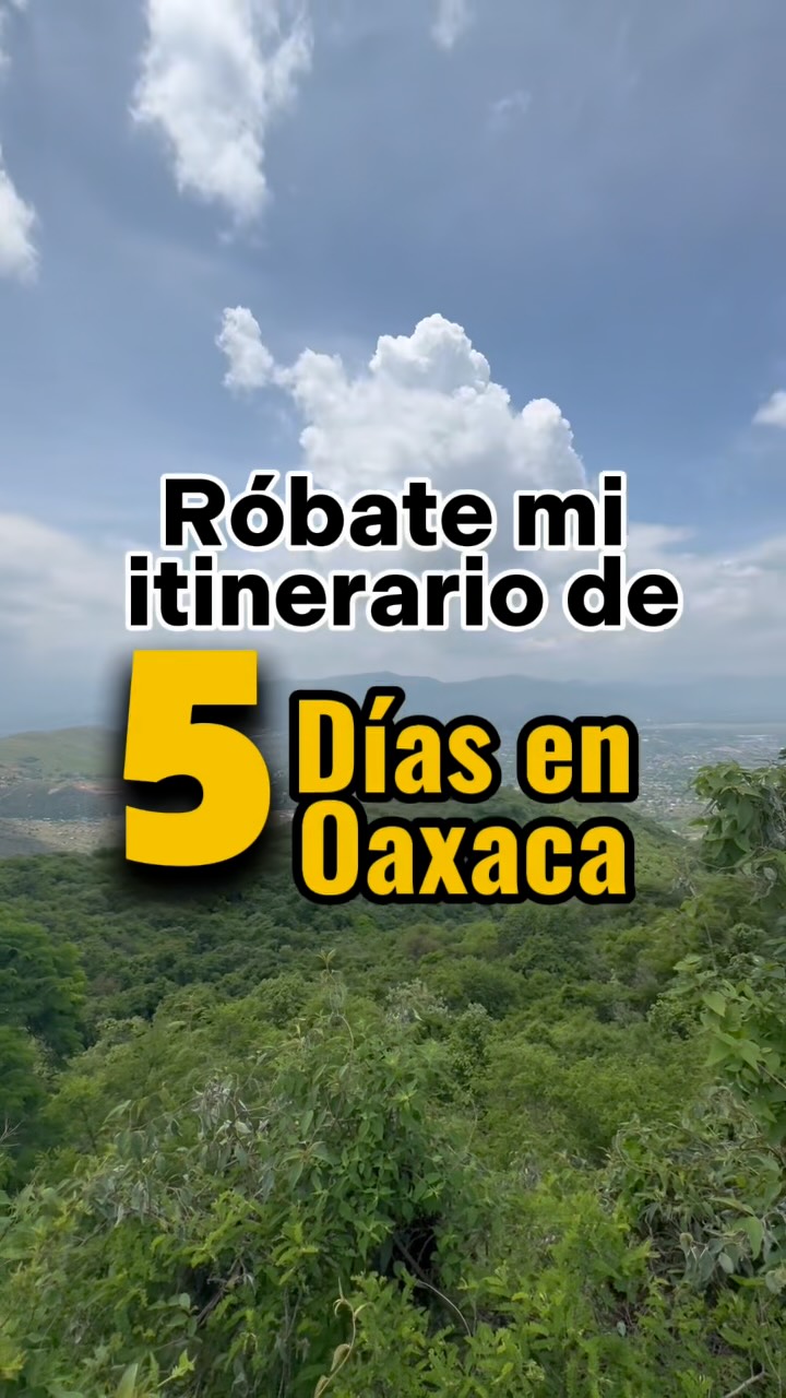 Enjoy Oaxaca | Tours, experiencias & Traslados, Tree of Tule