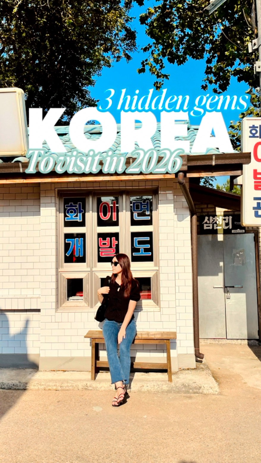Laia In Korea, National Folk Museum, Street of Memories