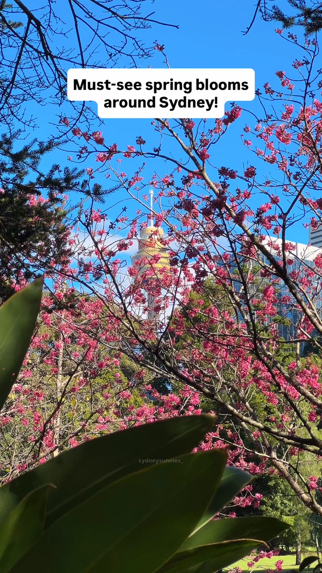 Amit Suneja | Sydney Travel & Experiences, Royal Botanic Garden Sydney
