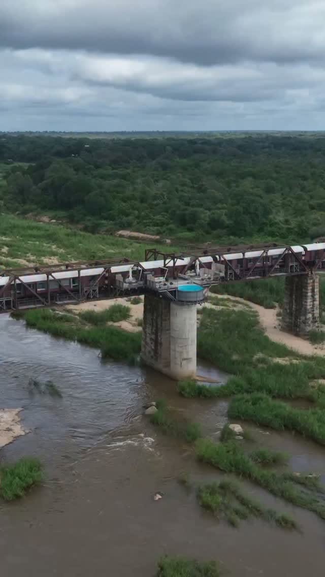 africaunexpected, Kruger National Park