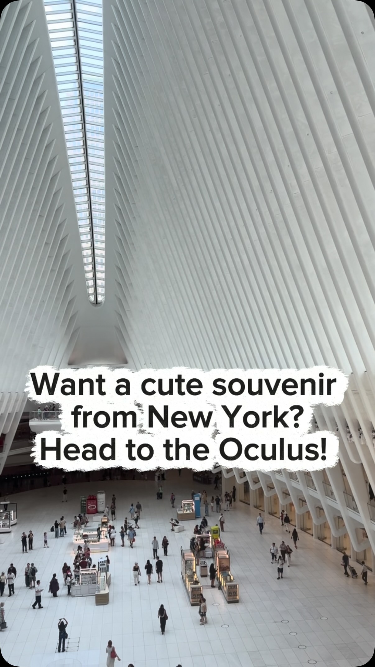 Katie’s and Ryan’s Adventures, Oculus World Trade Center