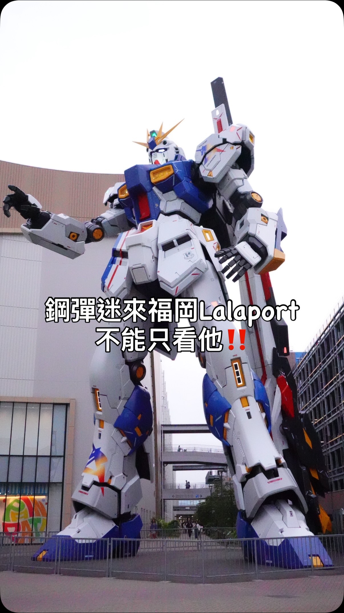 Toydog, LaLa Port Fukuoka