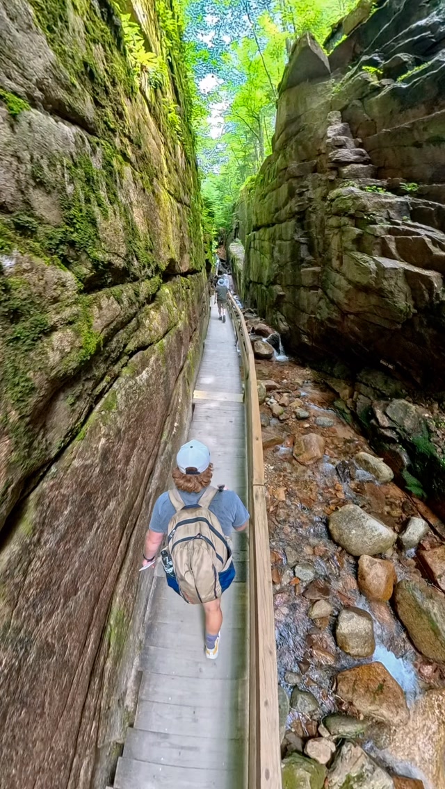 Calvin, Franconia Notch