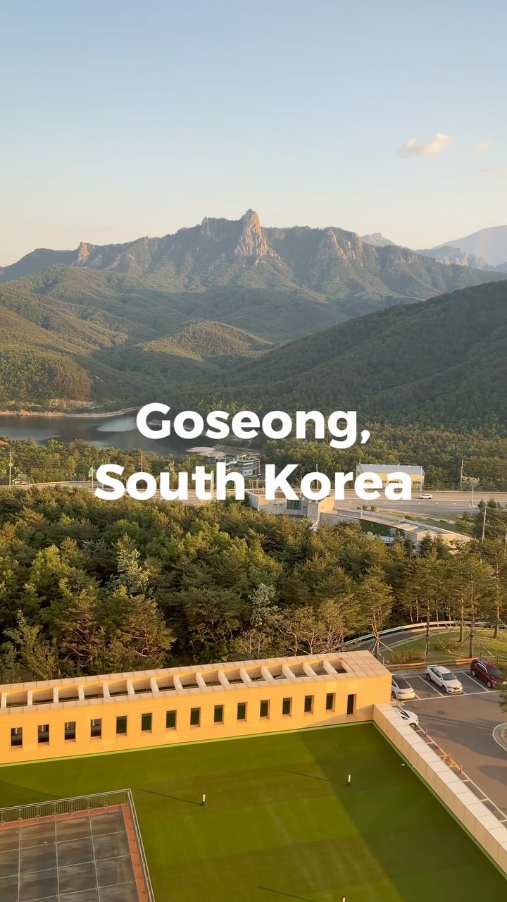 Dan | The Reset Traveller, DMZ Tour Korea