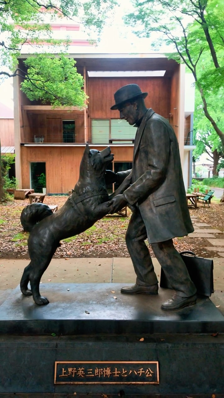 Hichem | Voyager Mieux • Travel Planner, Hachikō Memorial Statue