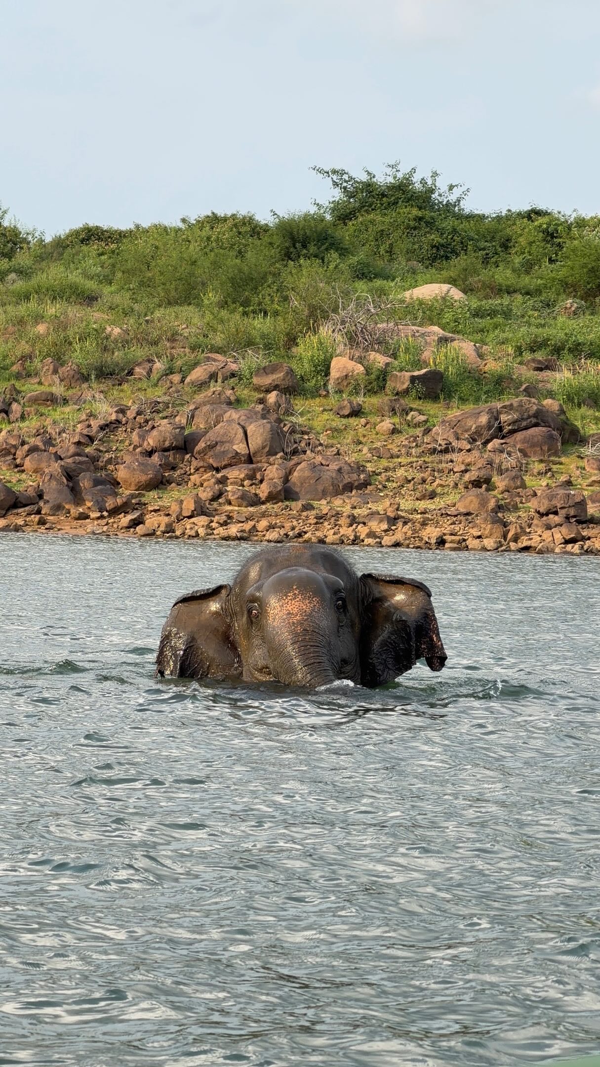 KRISTEN | Travel & Hiking, Gal Oya Valley National Park