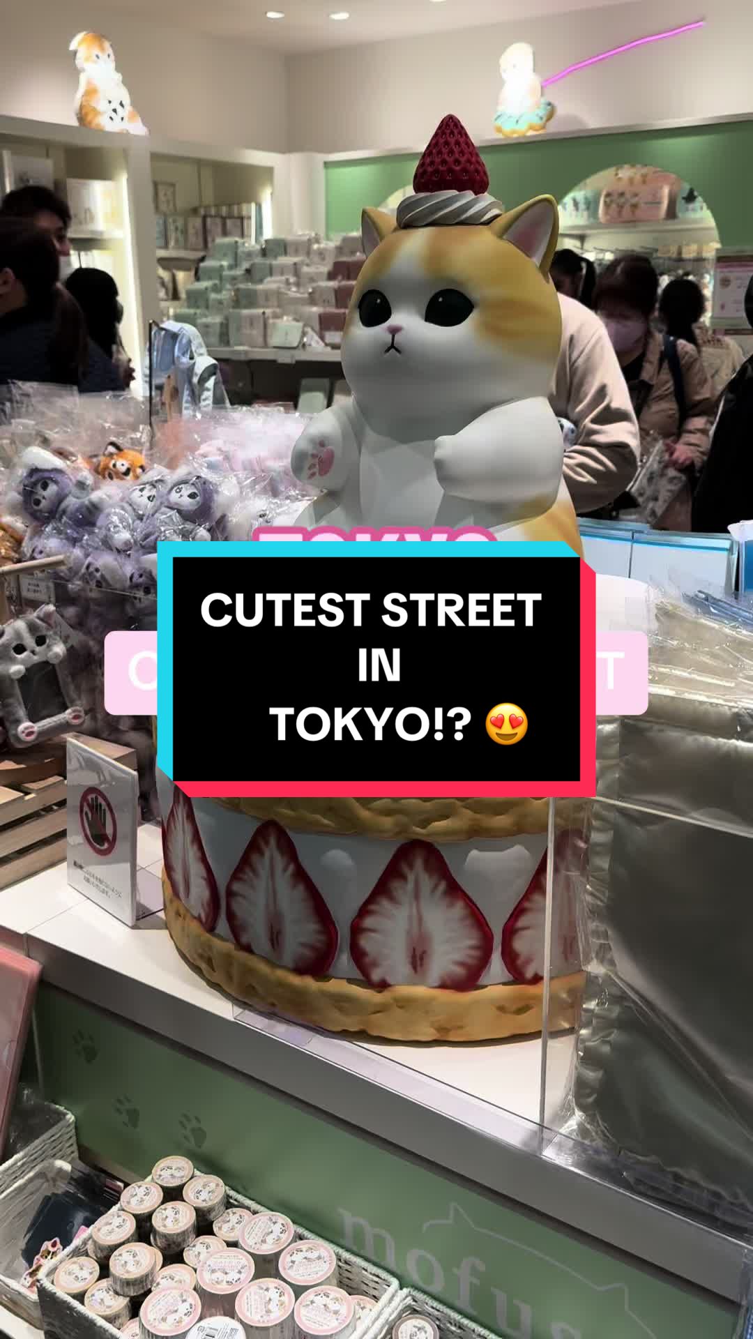 Lareine ʕ•ᴥ•ʔ, Tokyo Station