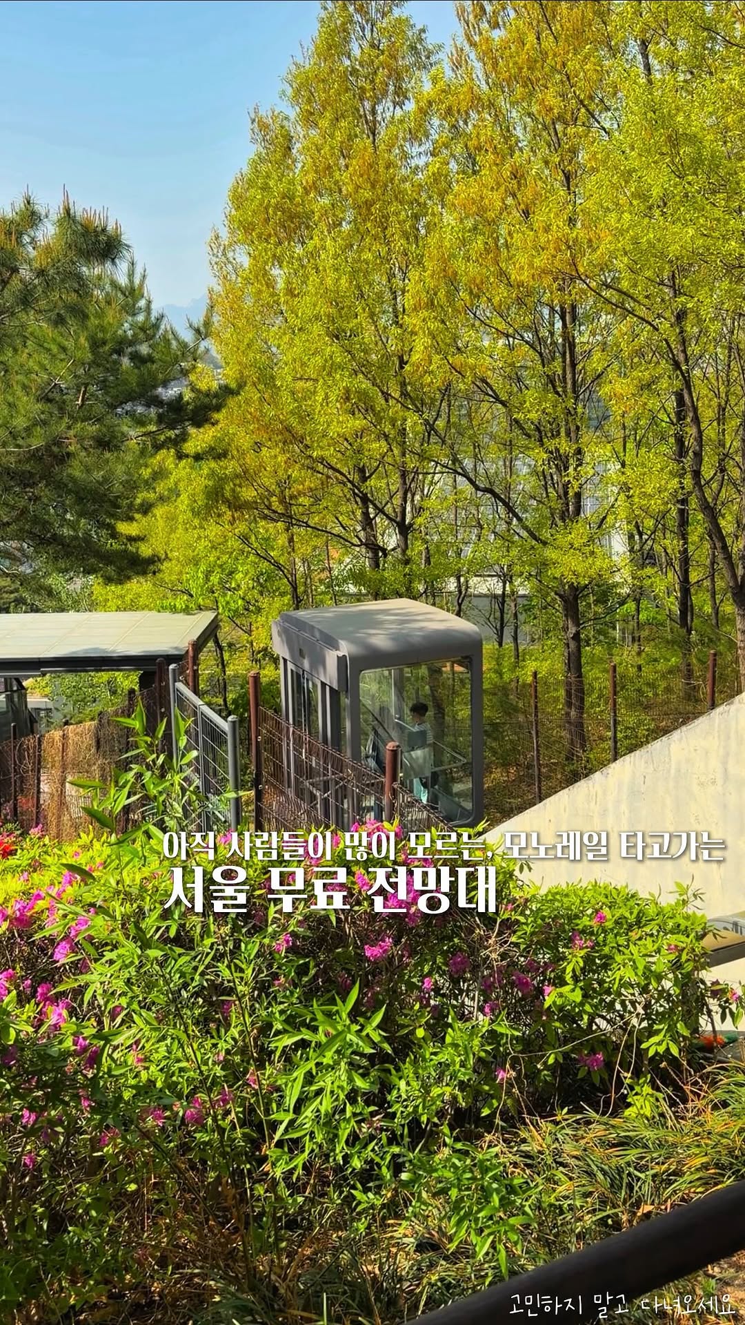 고민 | 공간 ◦ 카페 ◦ F&B ☕ 🌿, Dream Forest
