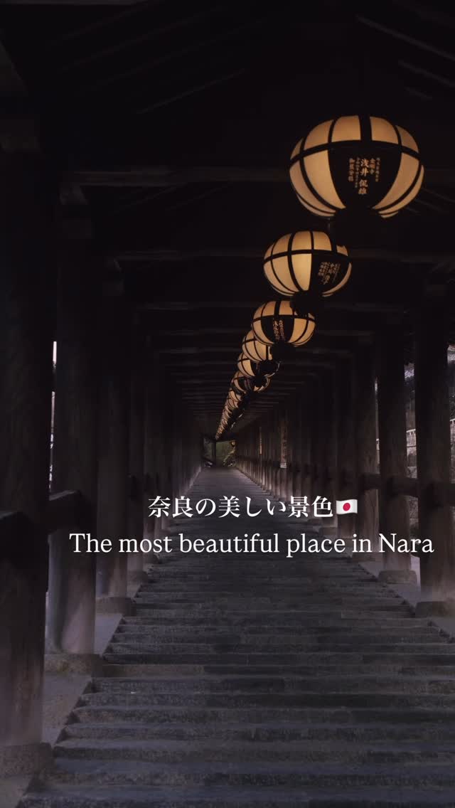 keen｜Nara Photographer, Nara Park