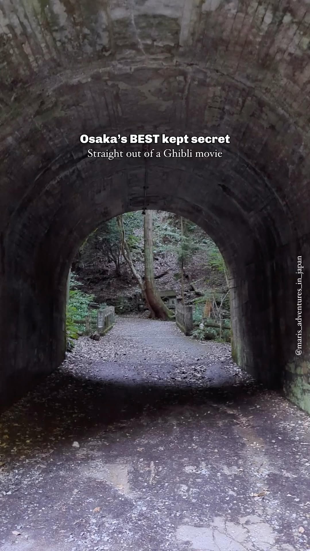 Mari 🇮🇹 • Japan Travel, Minoh National Park