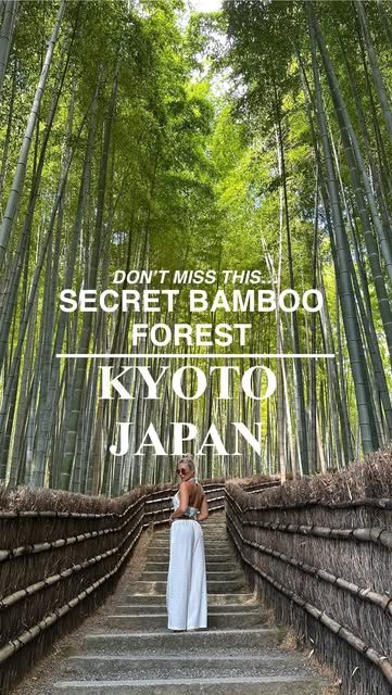Montana Darby, Arashiyama Bamboo Forest