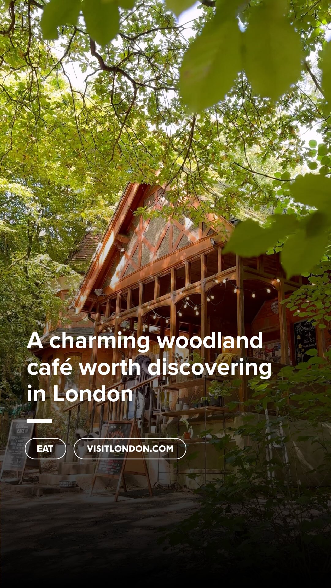 VISIT LONDON, Queen's Wood