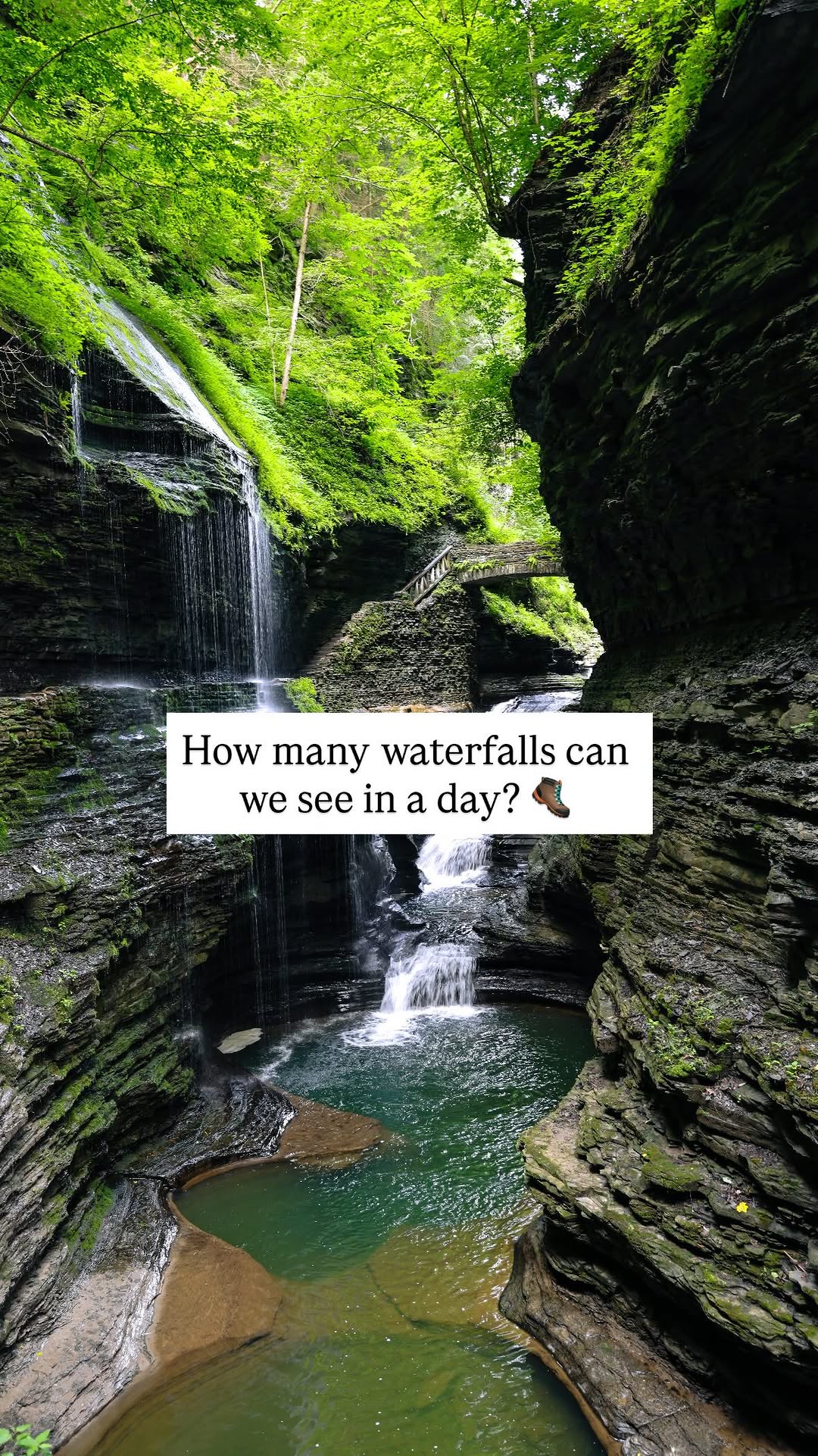 CeLynn Siemons & Brad Elliott | Wild & Outdoors, Watkins Glen State Park
