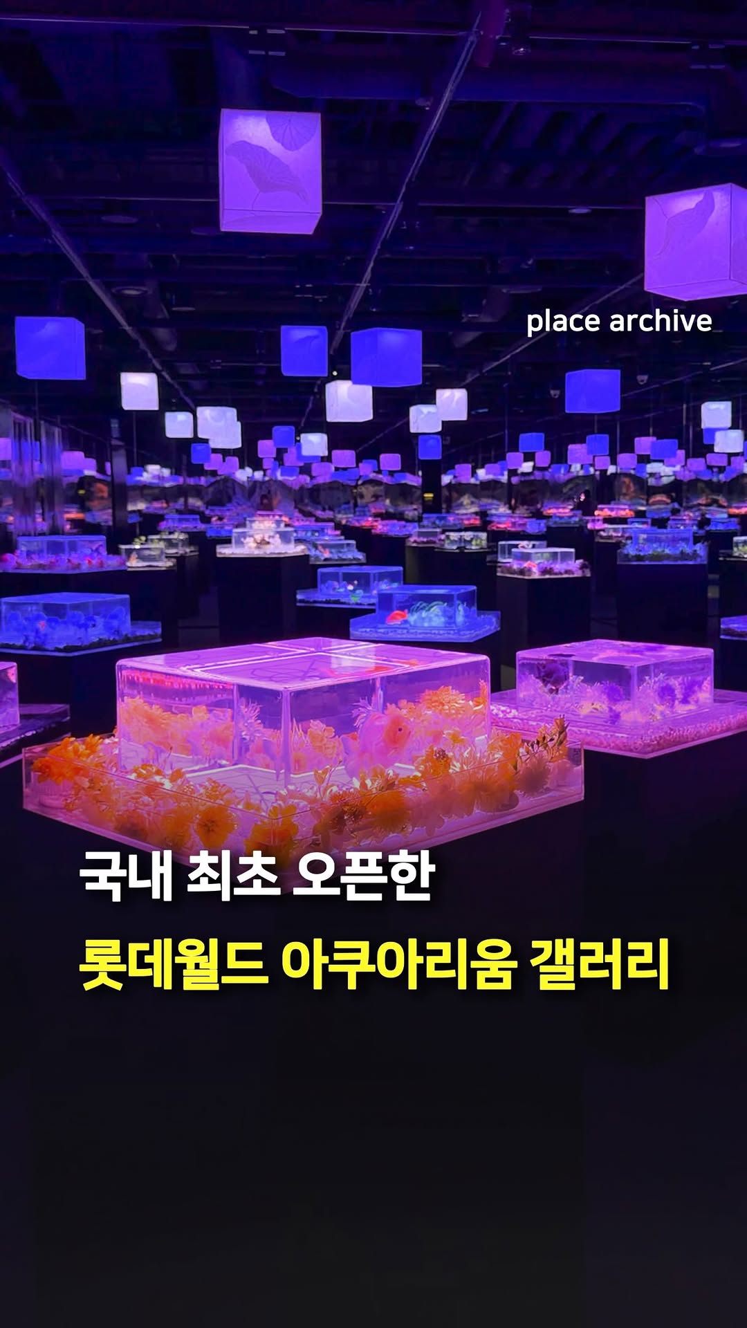 플레이스 아카이브 l 전시.팝업.공간.디자인, LOTTE WORLD AQUARIUM