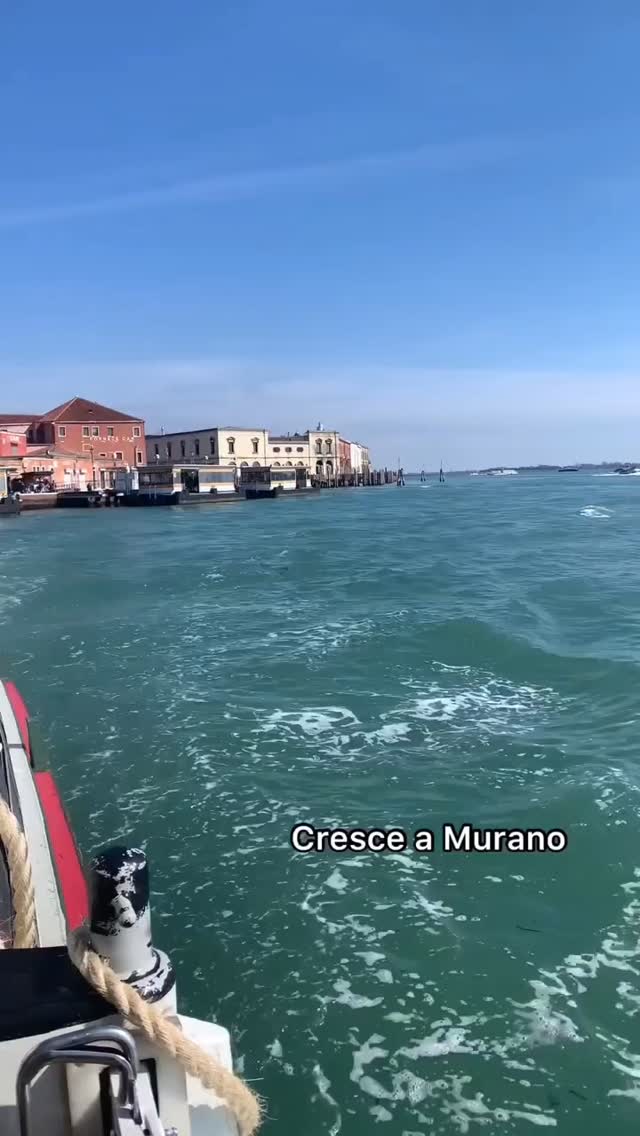 Marco Antonio Barros 🪔, Doge's Palace