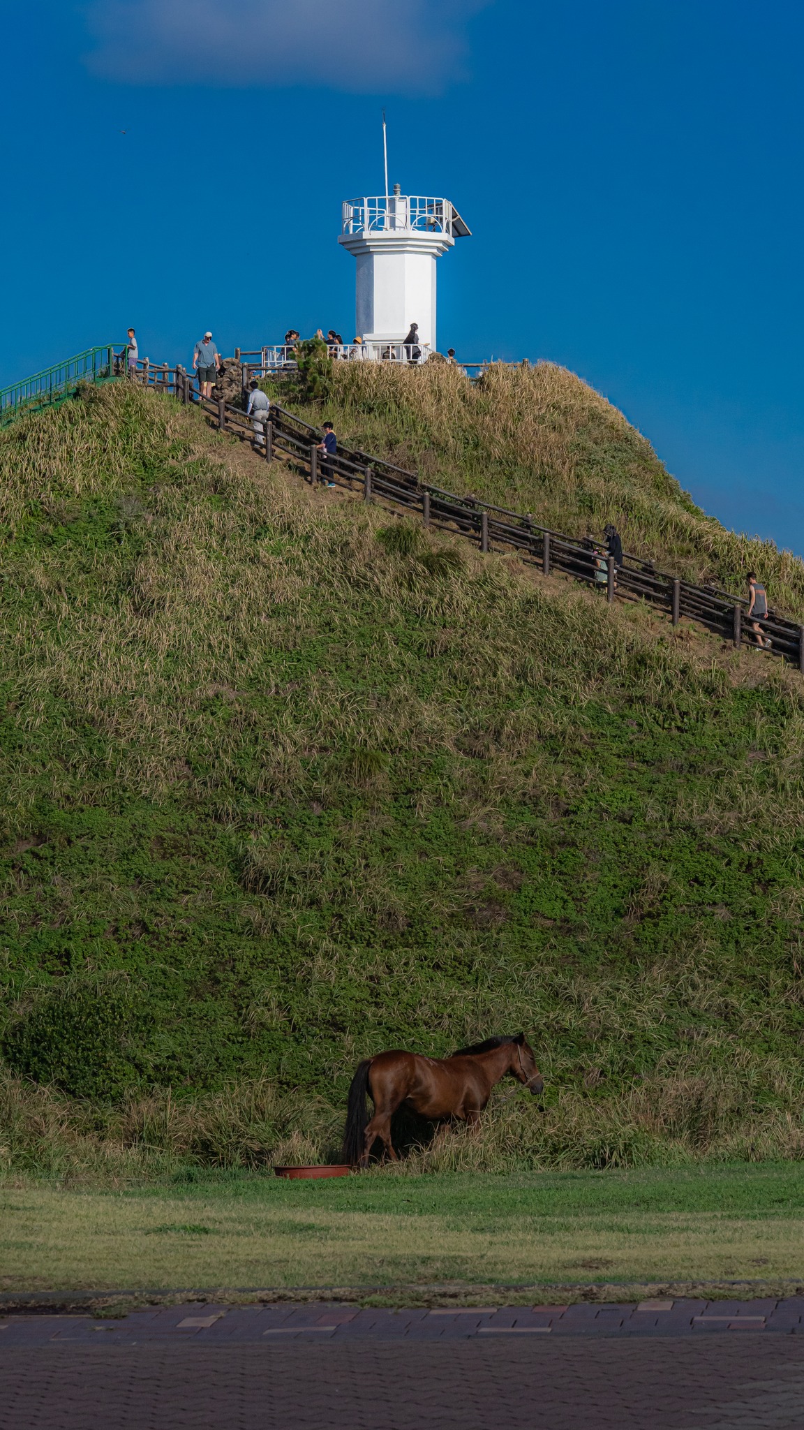 Jeju Tourism Organization, Seopjikoji