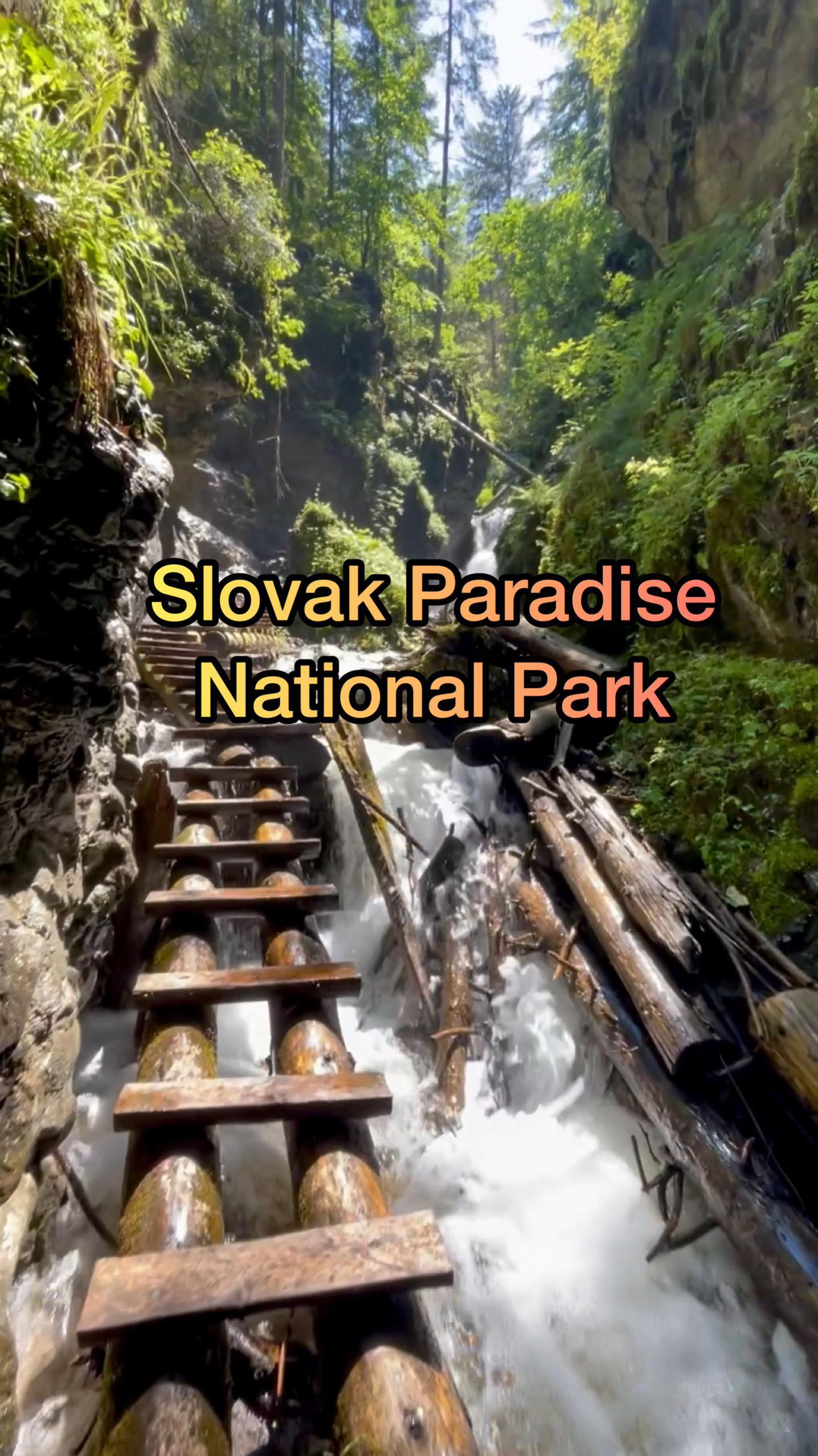 This is SLOVAKIA 🇸🇰, Great Sokol, Slovak Paradise National Park