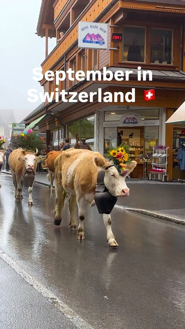 Switzerland Insider, Appenzell