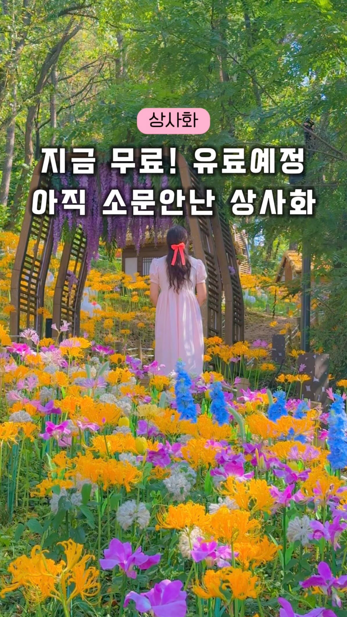 꽃내비 | 대한민국 꽃여행 길잡이, Yeongnamnu