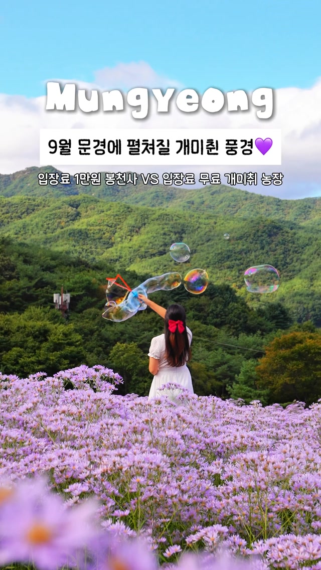 원더풀데이 | 여행사진작가, 문희농원(꽃피는 문희)
