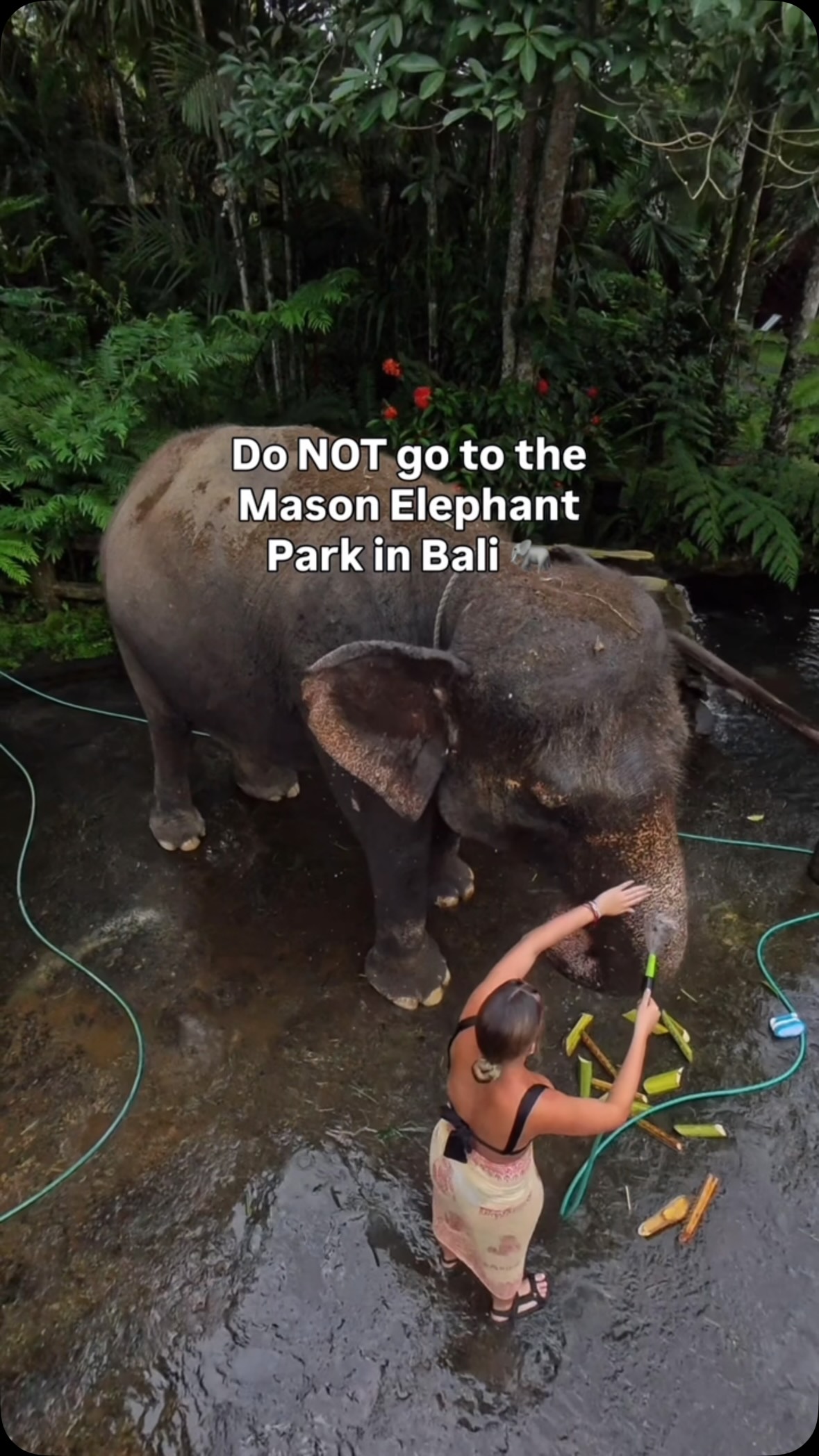 Mason Elephant Park & Lodge | Ubud, Elephant Safari Park Lodge Bali