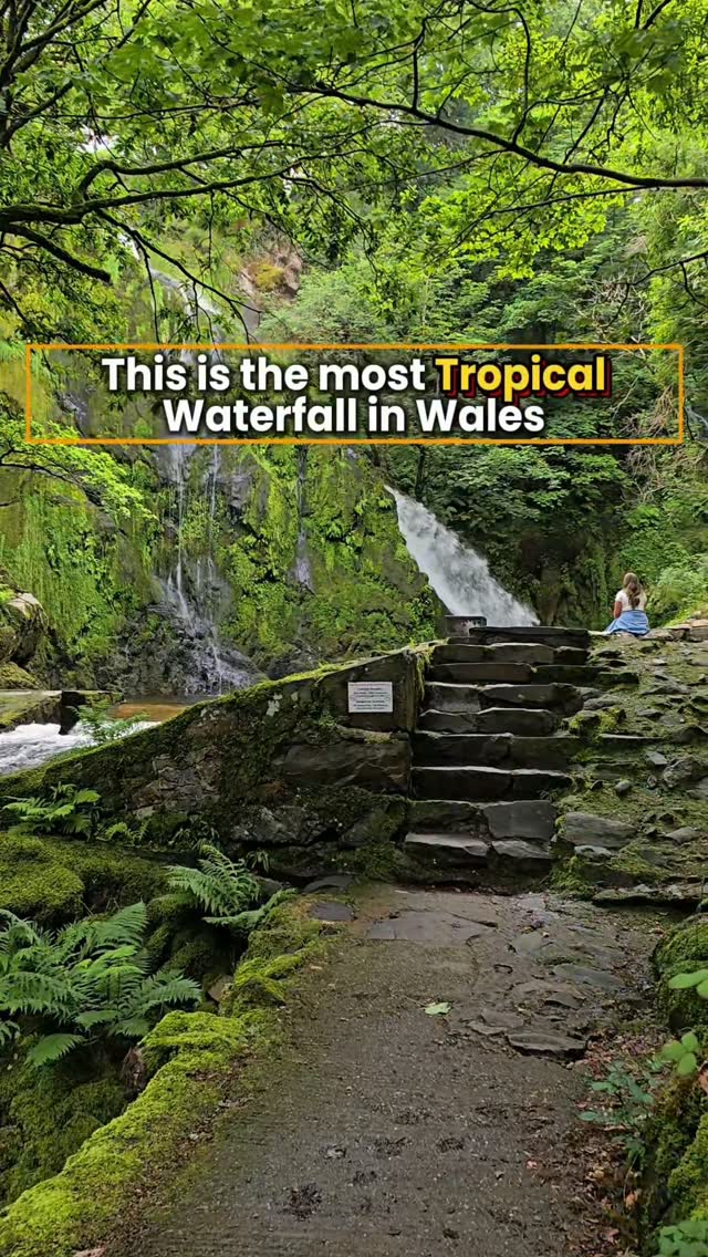 Tom Harborne, Eryri National Park (Snowdonia)