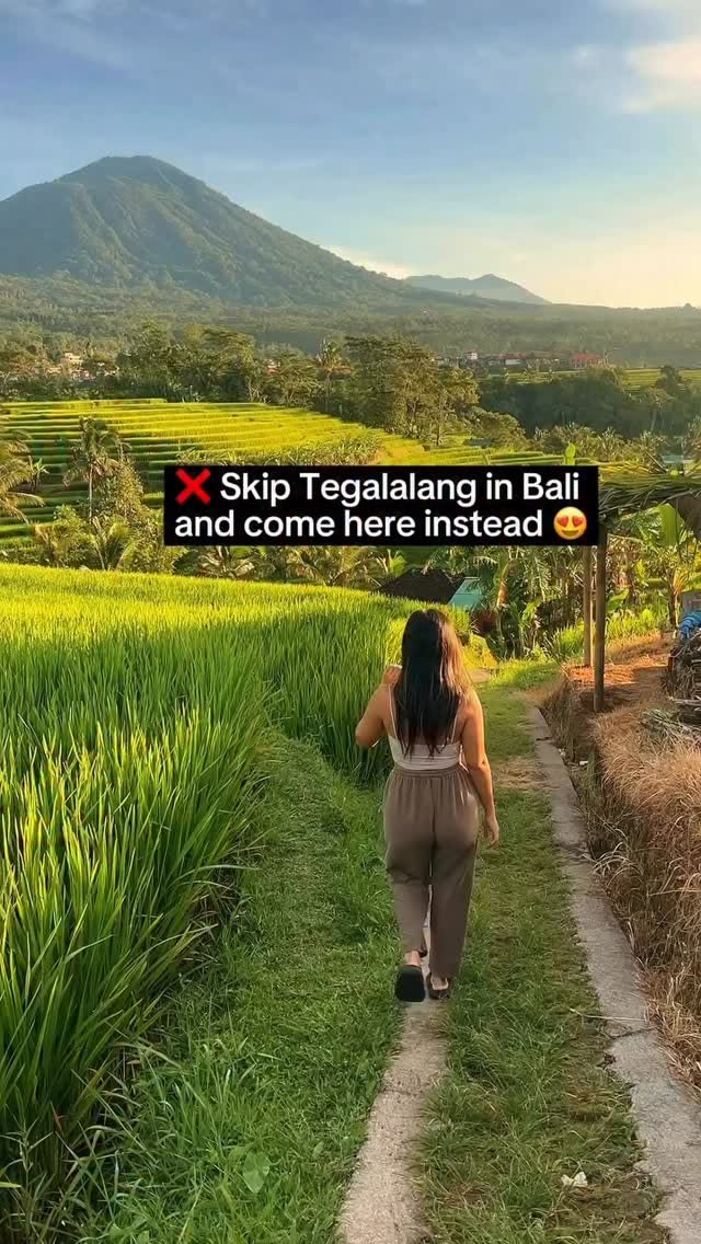 Facebook, Jatiluwih Rice Terraces