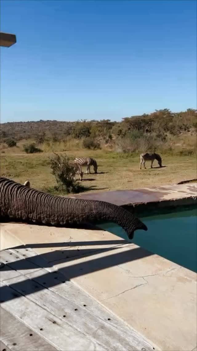mhondorosafarilodgeandvilla, Mhondoro Safari Lodge & Villa