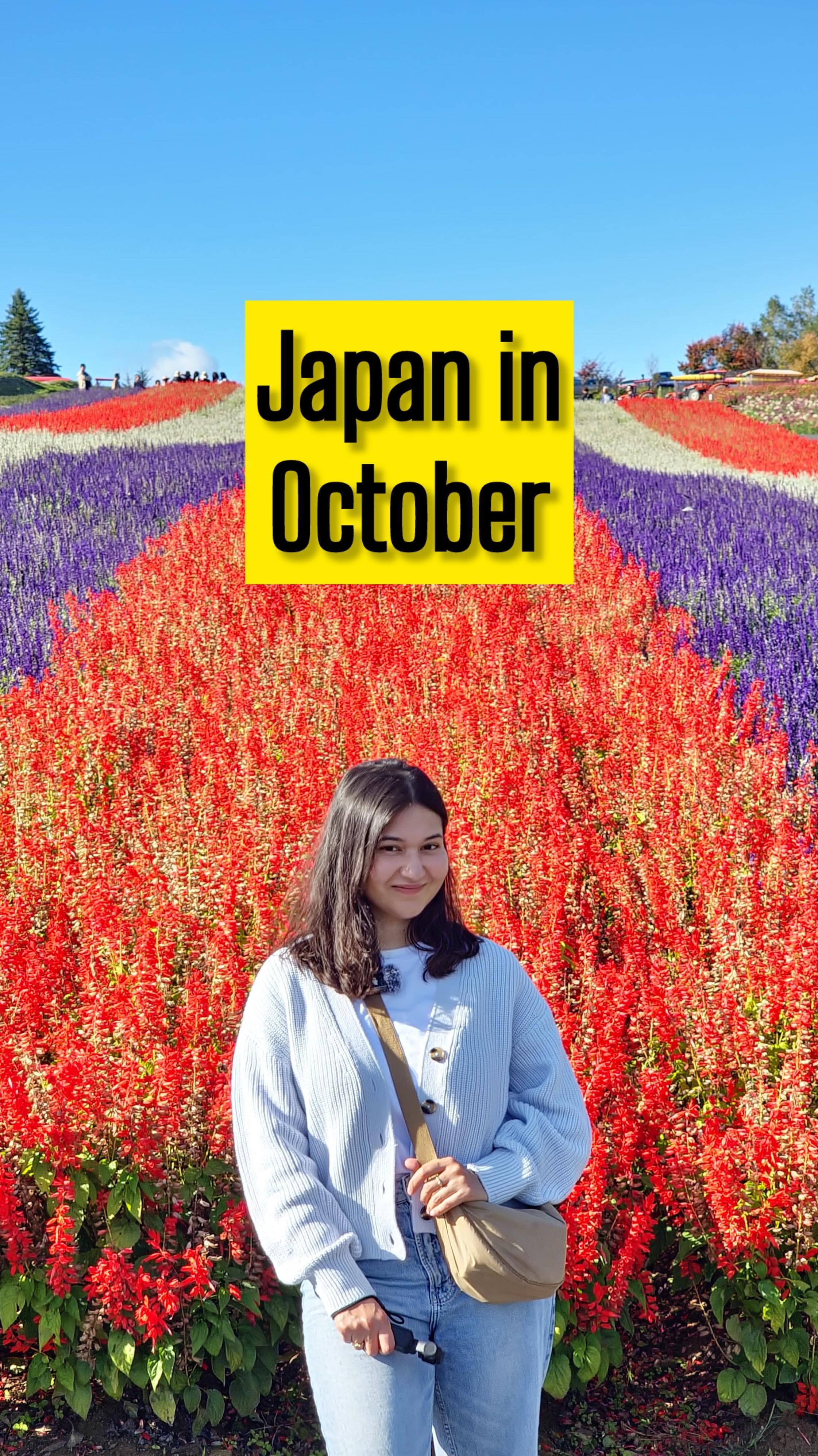 Ishita Negi | Travel & Lifestyle, Panoramic Flower Gardens Shikisai-no-oka