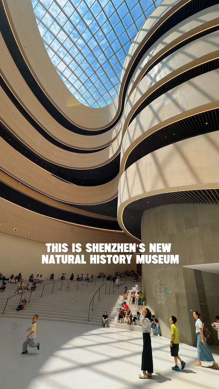 Lana | Content creator&blogger in China | Shenzhen • Hong Kong 🪭, Shenzhen Museum