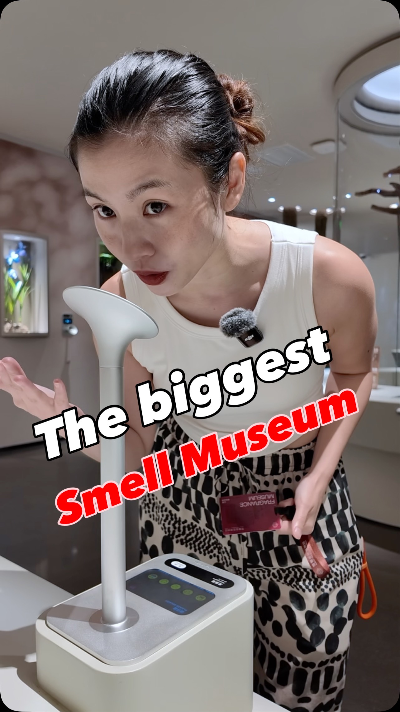 Ccino Lin, Guangdong Museum