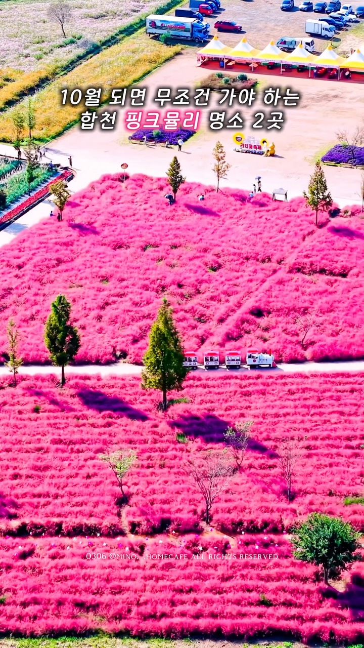 미노mino 부산카페 부산맛집 그외 울산 양산 김해 창원 진해, Patriotic Park