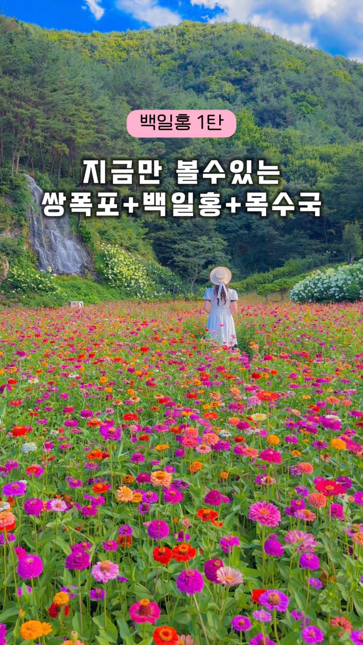 꽃내비 | 대한민국 꽃여행 길잡이, Ssang-p'okp'o