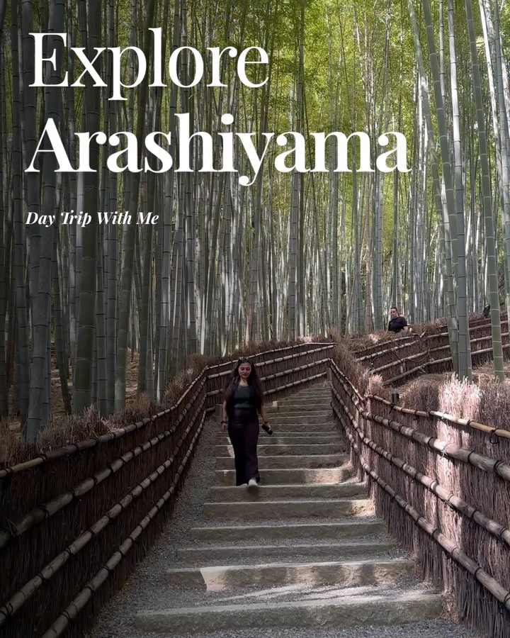 Mona, Arashiyama Bamboo Forest