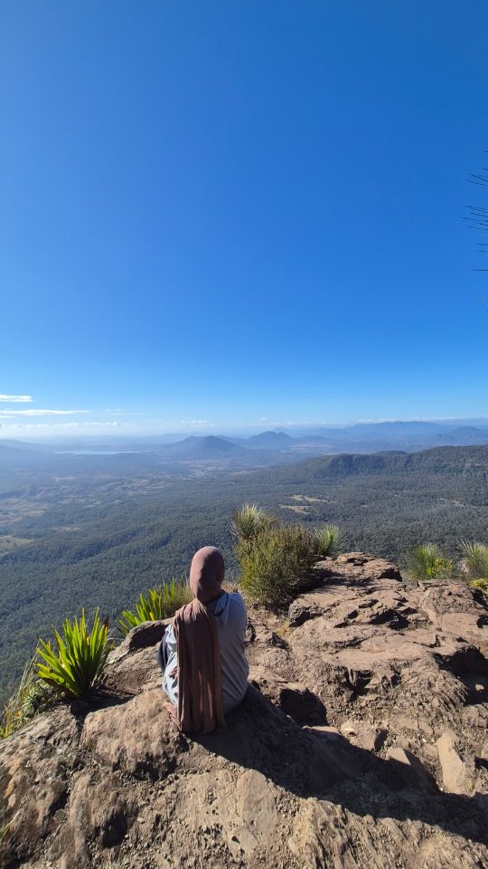 Fie, Main Range National Park