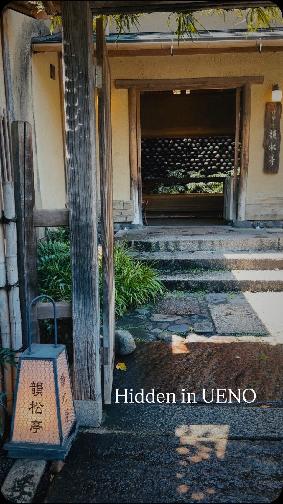 𝑀𝑖𝑐ℎ𝑒𝑙𝑙𝑒 𝐻𝑜𝑛𝑑𝑎, Ueno Park