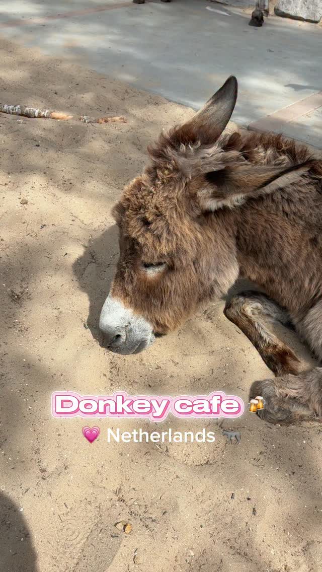 희경 🇰🇷 | Kelly, Cafedaki Utrecht