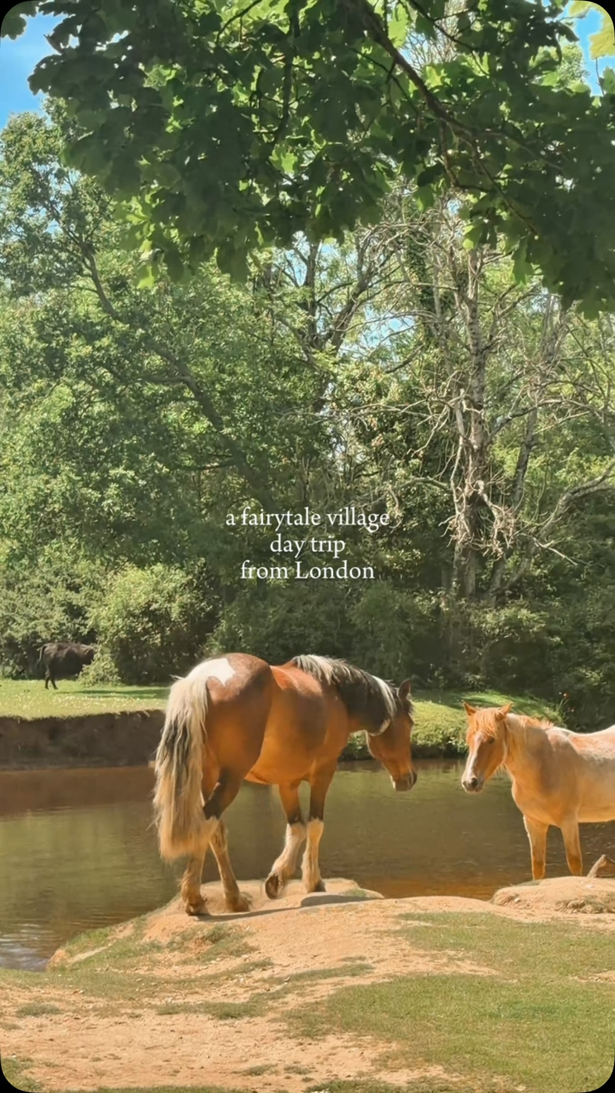 Rosie | UK travel content creator, New Forest National Park