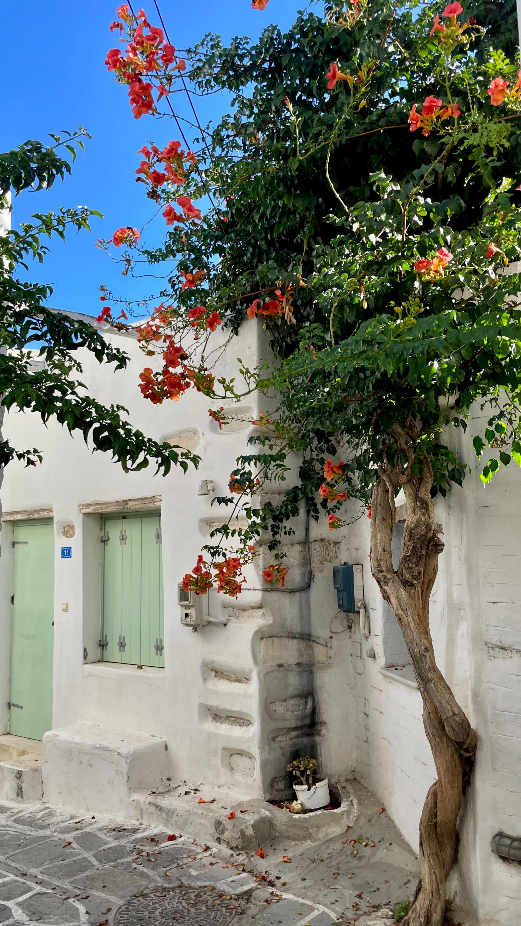Olga • Italian Life, Travel & Lifestyle, Paros