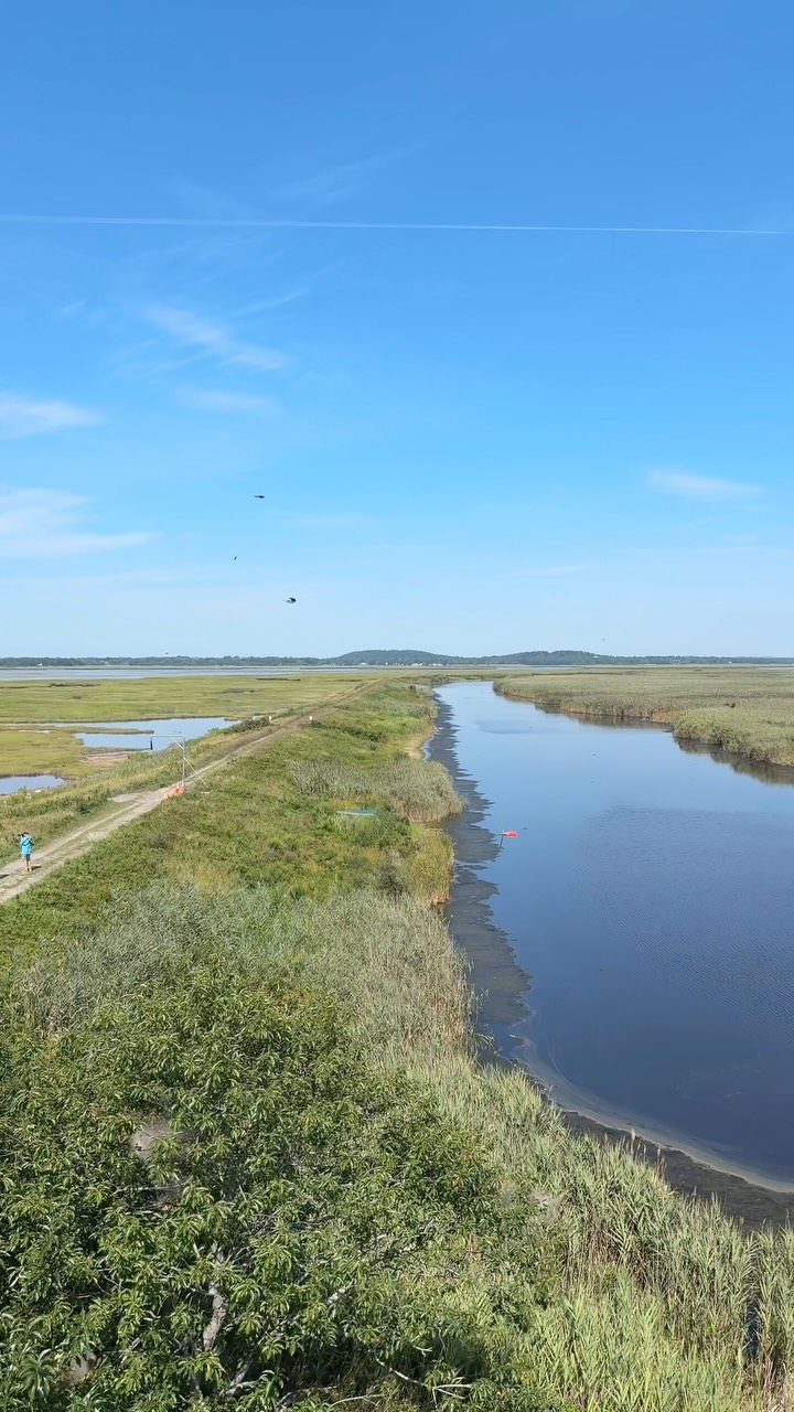 Aleisha • New England Travel, Plum Island