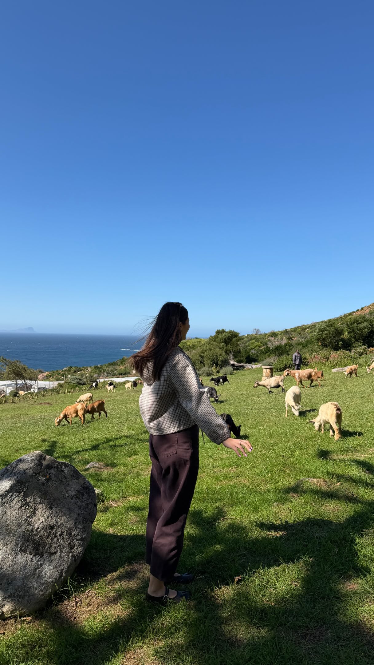 Mălina | 📍Dubai 🇦🇪 | Travel & Coffee, Boulders Beach