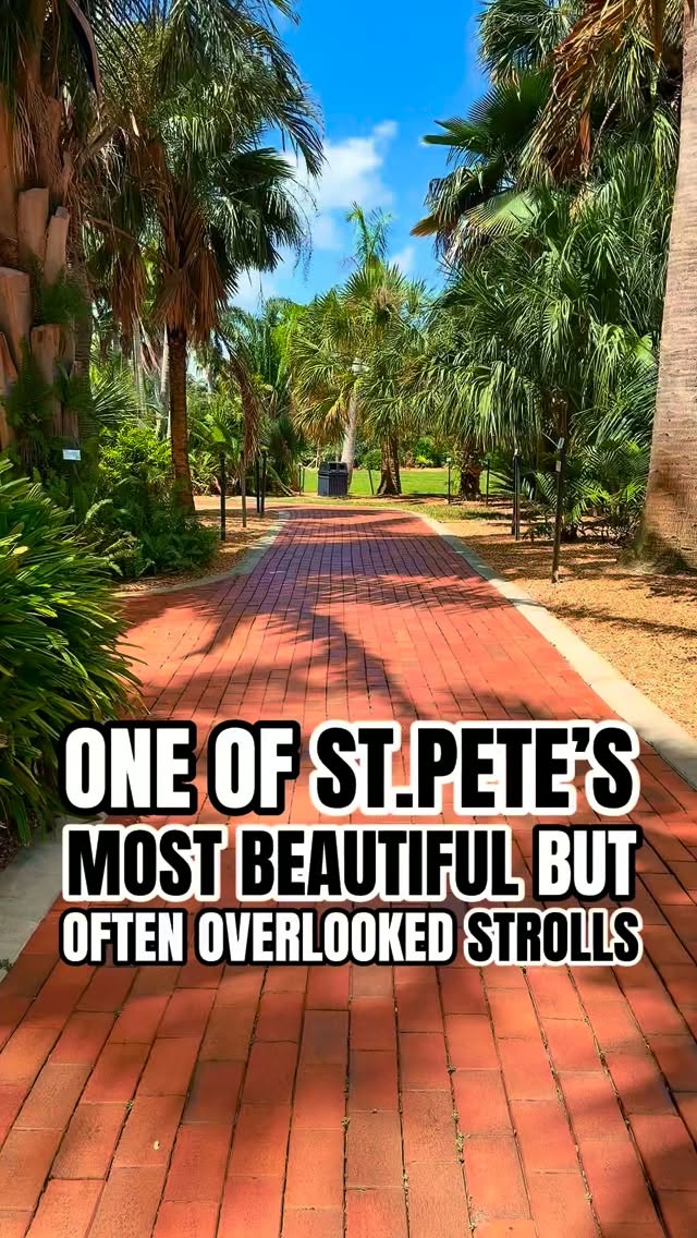 stpetesawesome, Gizella Kopsick Palm Arboretum