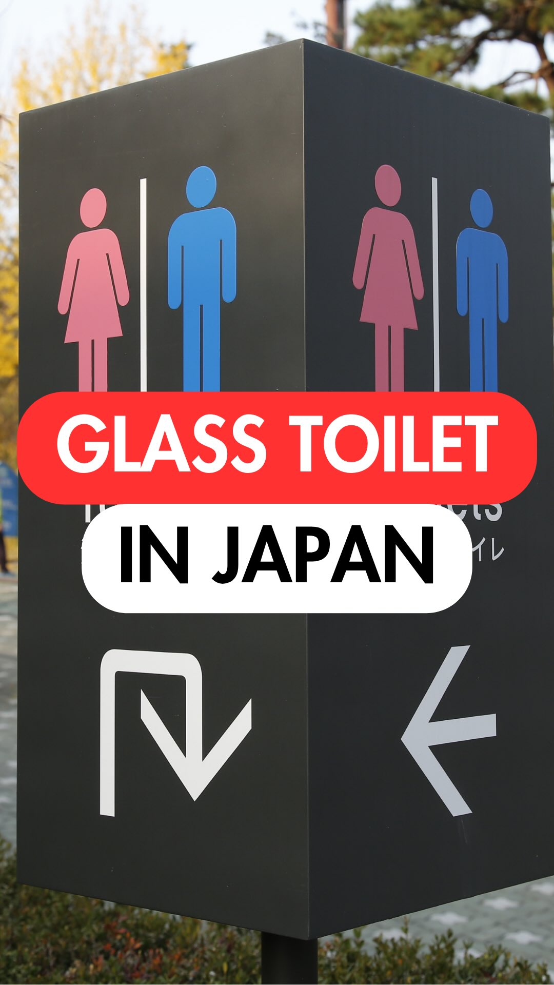Smart Tokyo Guide, Yoyogi Park