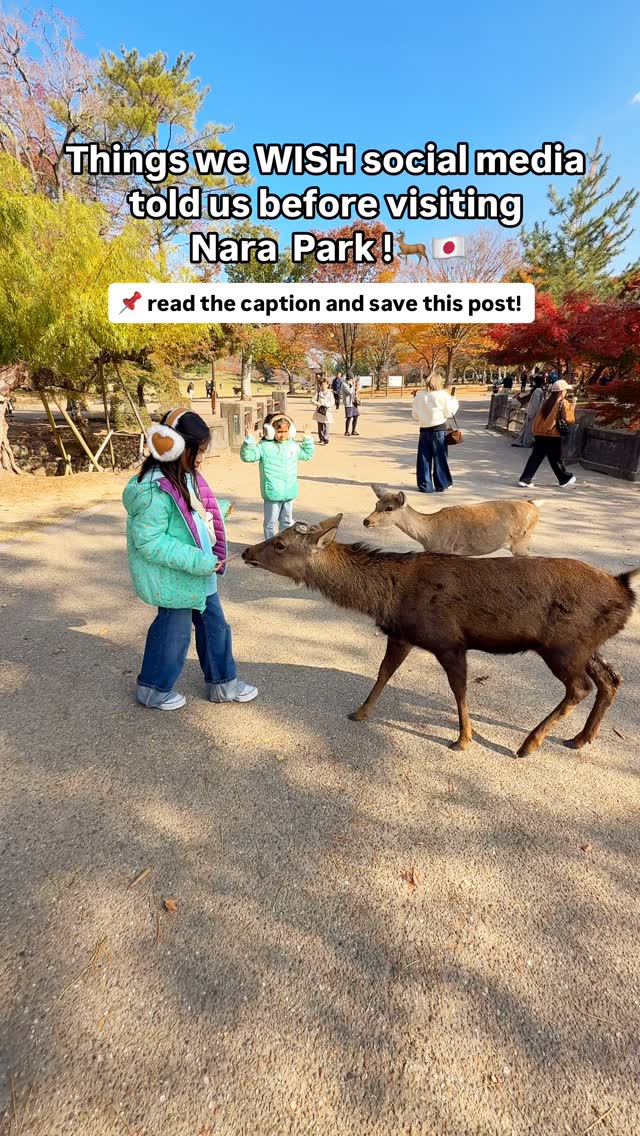 Mona | Family  Travel | Travel UGC, Nara Park