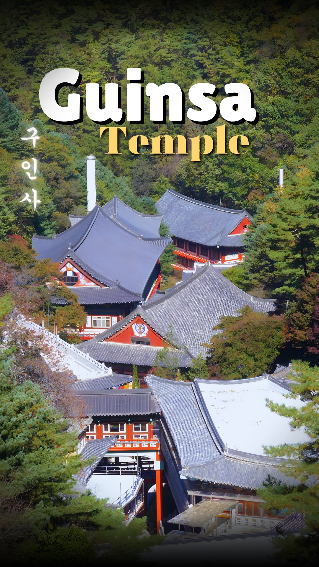 David J Robbins, Guinsa Temple