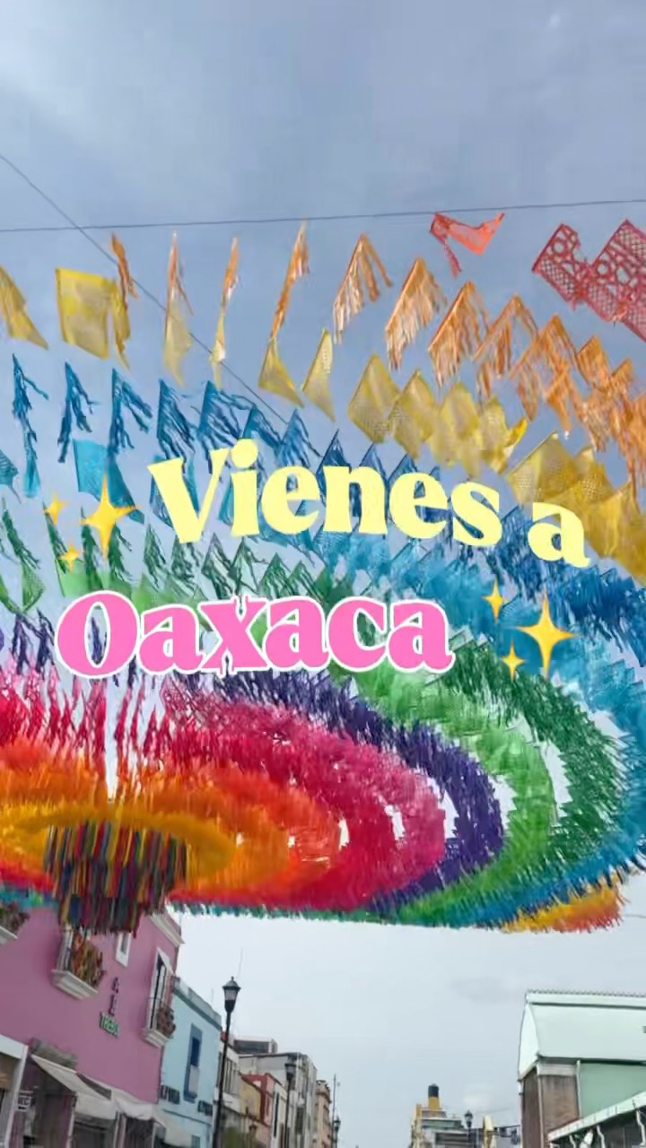 Brisa Vasquez, Metropolitan Cathedral of Oaxaca