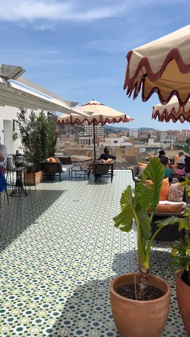 Malaga Rooftop Bars | Terraza Malaga, Catedral de la Encarnación de Málaga